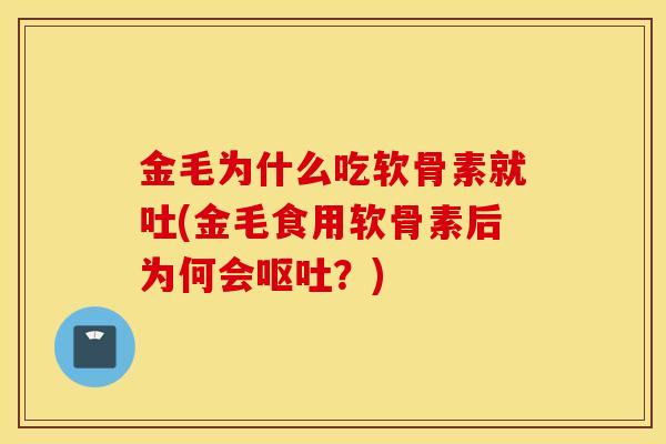 金毛为什么吃软骨素就吐(金毛食用软骨素后为何会呕吐？)