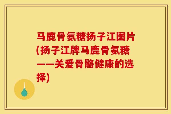 马鹿骨氨糖扬子江图片(扬子江牌马鹿骨氨糖——关爱骨骼健康的选择)