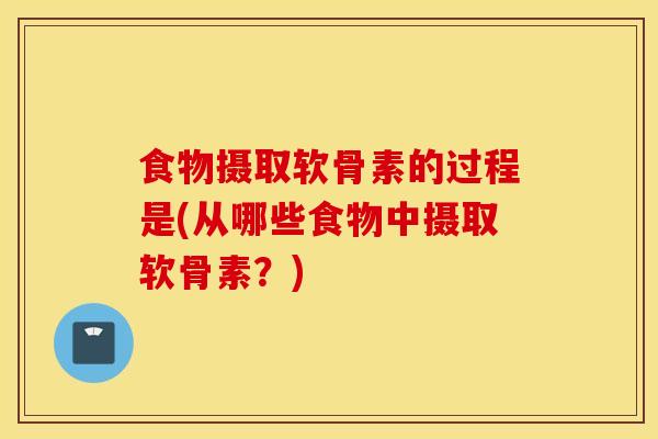 食物摄取软骨素的过程是(从哪些食物中摄取软骨素？)