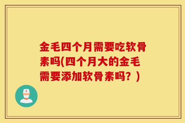 金毛四个月需要吃软骨素吗(四个月大的金毛需要添加软骨素吗？)