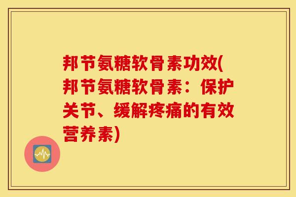 邦节氨糖软骨素功效(邦节氨糖软骨素：保护关节、缓解疼痛的有效营养素)