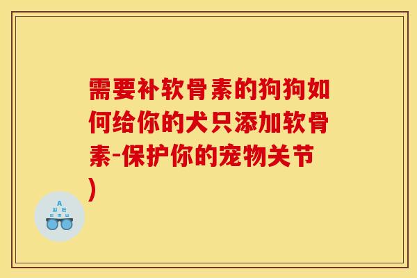 需要补软骨素的狗狗如何给你的犬只添加软骨素-保护你的宠物关节)