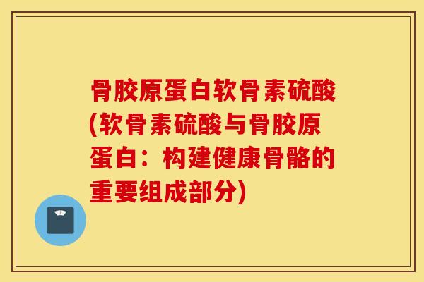 骨胶原蛋白软骨素硫酸(软骨素硫酸与骨胶原蛋白:构建健康骨骼的重要组成部分) 骨胶原蛋白软骨素硫酸(软骨素硫酸与骨胶原蛋白:构建健康骨骼的重要组成部分)