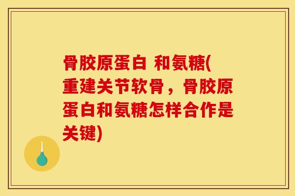 骨胶原蛋白 和氨糖(重建关节软骨，骨胶原蛋白和氨糖怎样合作是关键)