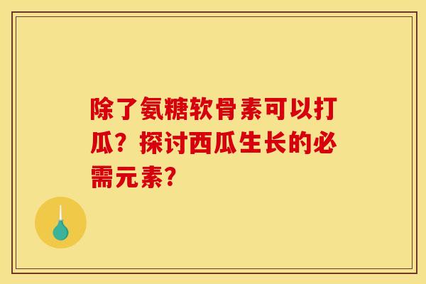 除了氨糖软骨素可以打瓜？探讨西瓜生长的必需元素？