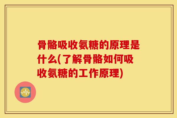 骨骼吸收氨糖的原理是什么(了解骨骼如何吸收氨糖的工作原理)