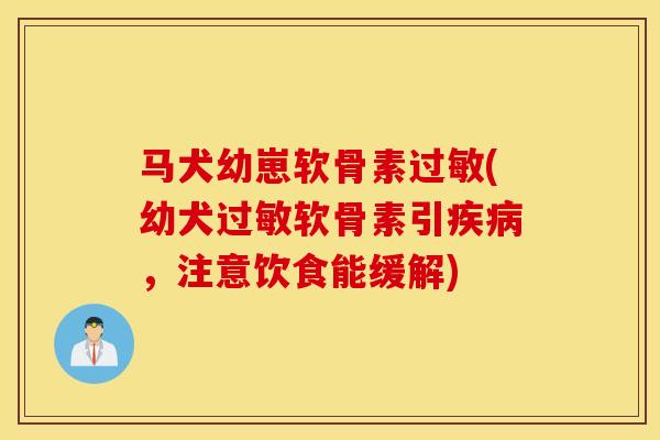 马犬幼崽软骨素过敏(幼犬过敏软骨素引疾病，注意饮食能缓解)