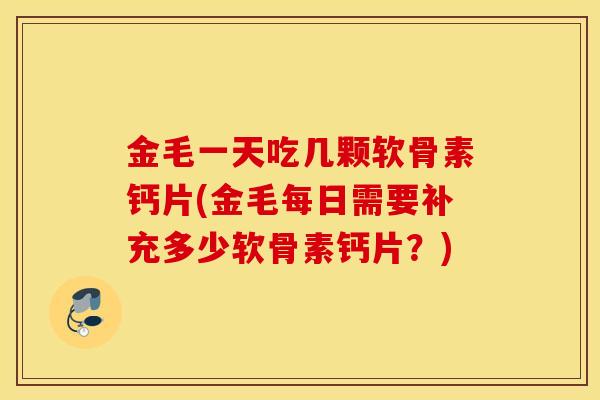金毛一天吃几颗软骨素钙片(金毛每日需要补充多少软骨素钙片？)