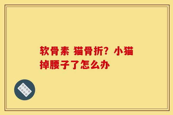 软骨素 猫骨折？小猫掉腰子了怎么办