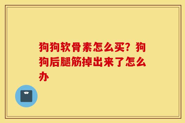 狗狗软骨素怎么买？狗狗后腿筋掉出来了怎么办