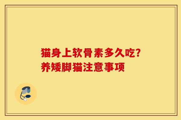 猫身上软骨素多久吃?养矮脚猫注意事项 猫身上软骨素多久吃?养矮脚猫注意事项