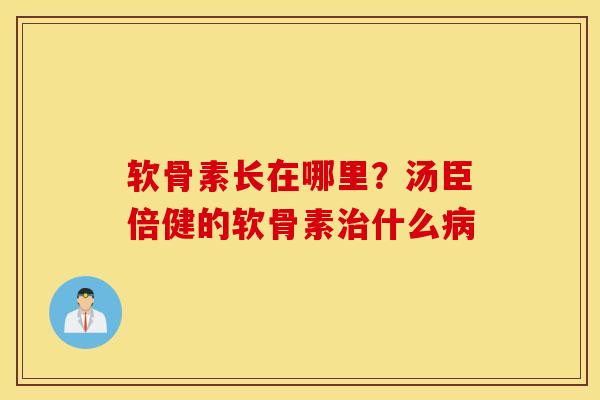 软骨素长在哪里？汤臣倍健的软骨素治什么病