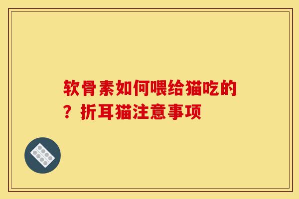 软骨素如何喂给猫吃的？折耳猫注意事项