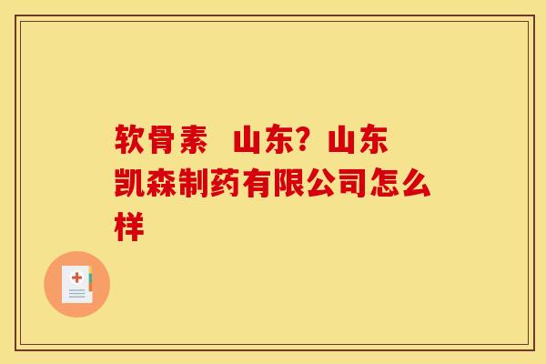软骨素  山东？山东凯森制药有限公司怎么样