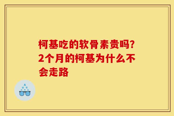 柯基吃的软骨素贵吗？2个月的柯基为什么不会走路