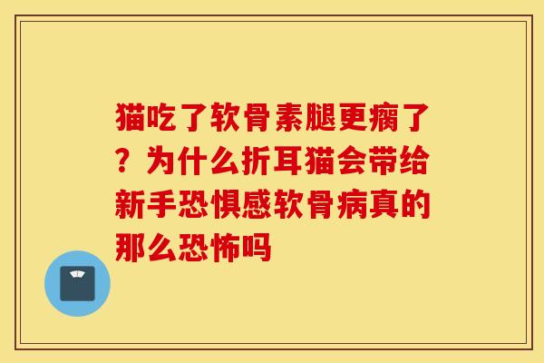 猫吃了软骨素腿更瘸了？为什么折耳猫会带给新手恐惧感软骨病真的那么恐怖吗