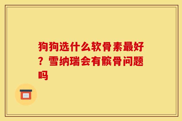 狗狗选什么软骨素最好？雪纳瑞会有髌骨问题吗