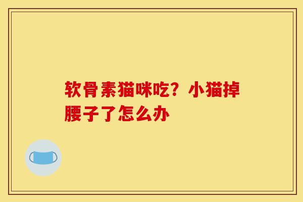 软骨素猫咪吃？小猫掉腰子了怎么办