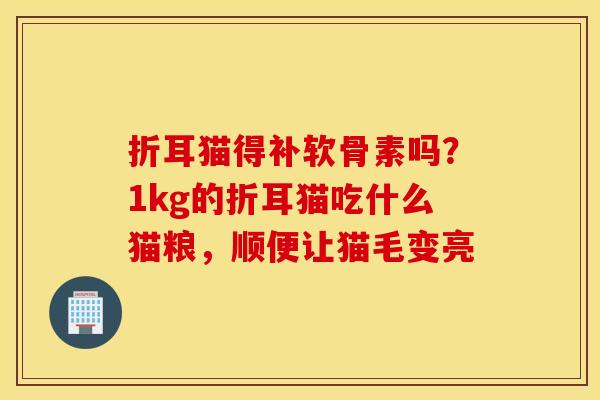 折耳猫得补软骨素吗？1kg的折耳猫吃什么猫粮，顺便让猫毛变亮