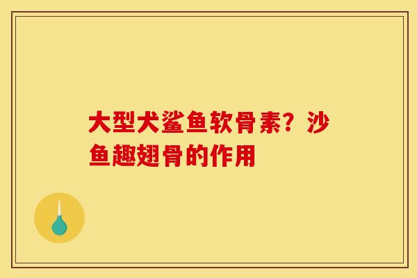 大型犬鲨鱼软骨素？沙鱼趣翅骨的作用