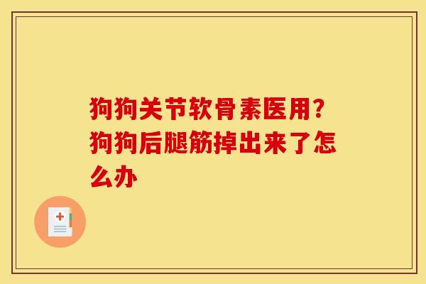 狗狗关节软骨素医用？狗狗后腿筋掉出来了怎么办