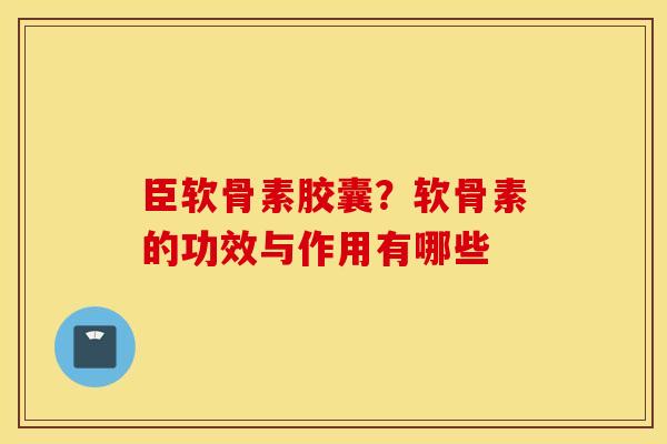臣软骨素胶囊？软骨素的功效与作用有哪些