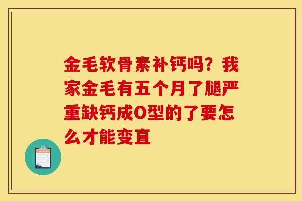 金毛软骨素补钙吗？我家金毛有五个月了腿严重缺钙成O型的了要怎么才能变直