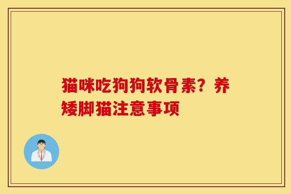 猫咪吃狗狗软骨素？养矮脚猫注意事项