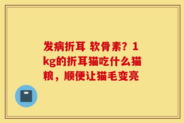 发病折耳 软骨素？1kg的折耳猫吃什么猫粮，顺便让猫毛变亮
