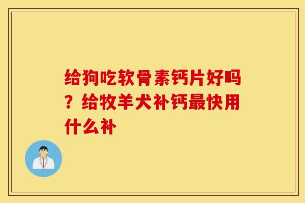 给狗吃软骨素钙片好吗？给牧羊犬补钙最快用什么补