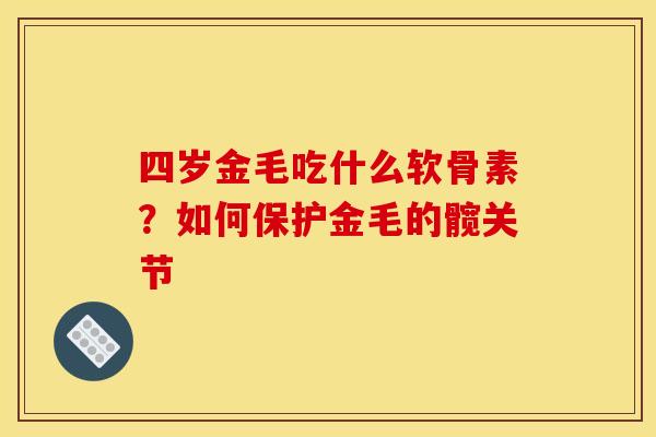 四岁金毛吃什么软骨素？如何保护金毛的髋关节