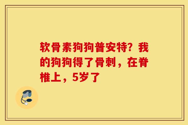软骨素狗狗普安特？我的狗狗得了骨刺，在脊椎上，5岁了