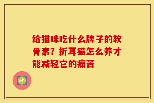 给猫咪吃什么牌子的软骨素？折耳猫怎么养才能减轻它的痛苦