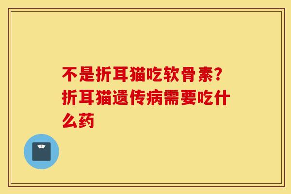 不是折耳猫吃软骨素?折耳猫遗传病需要吃什么药 不是折耳猫吃软骨素?折耳猫遗传病需要吃什么药