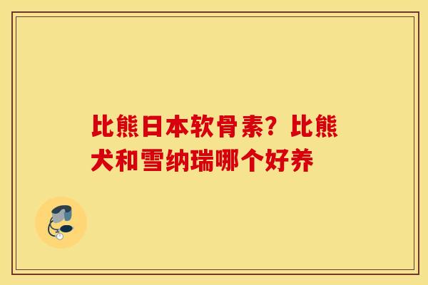 比熊日本软骨素?比熊犬和雪纳瑞哪个好养 比熊日本软骨素?比熊犬和雪纳瑞哪个好养