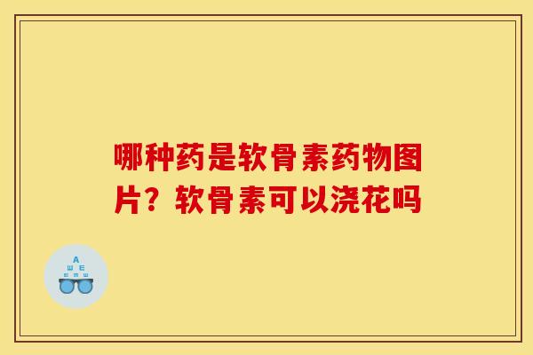 哪种药是软骨素药物图片？软骨素可以浇花吗