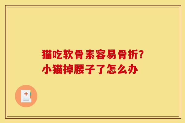 猫吃软骨素容易骨折？小猫掉腰子了怎么办