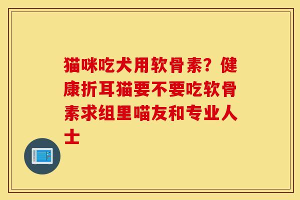 猫咪吃犬用软骨素？健康折耳猫要不要吃软骨素求组里喵友和专业人士