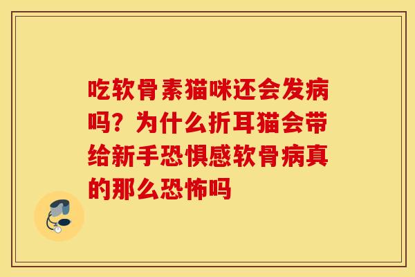 吃软骨素猫咪还会发病吗？为什么折耳猫会带给新手恐惧感软骨病真的那么恐怖吗