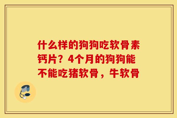 什么样的狗狗吃软骨素钙片？4个月的狗狗能不能吃猪软骨，牛软骨