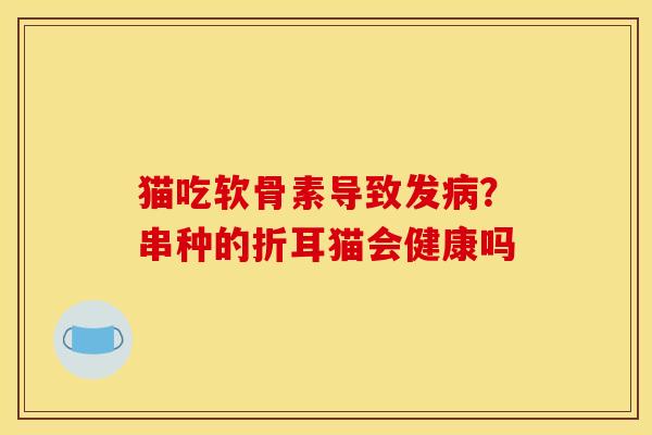 猫吃软骨素导致发病？串种的折耳猫会健康吗