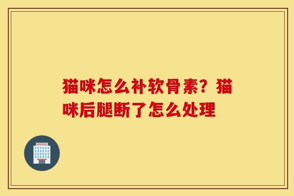 猫咪怎么补软骨素？猫咪后腿断了怎么处理