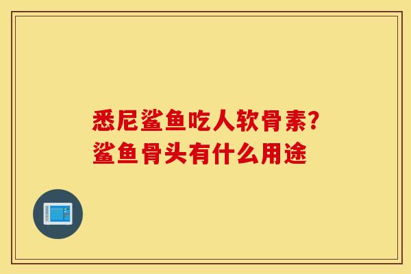 悉尼鲨鱼吃人软骨素?鲨鱼骨头有什么用途 悉尼鲨鱼吃人软骨素?鲨鱼骨头有什么用途