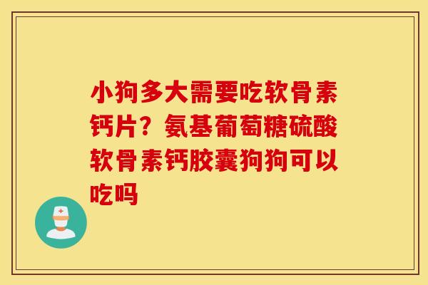 小狗多大需要吃软骨素钙片？氨基葡萄糖硫酸软骨素钙胶囊狗狗可以吃吗