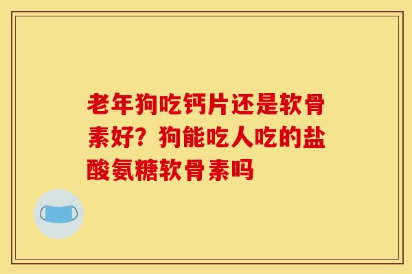 老年狗吃钙片还是软骨素好？狗能吃人吃的盐酸氨糖软骨素吗