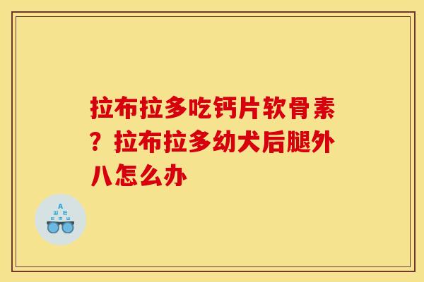 拉布拉多吃钙片软骨素？拉布拉多幼犬后腿外八怎么办