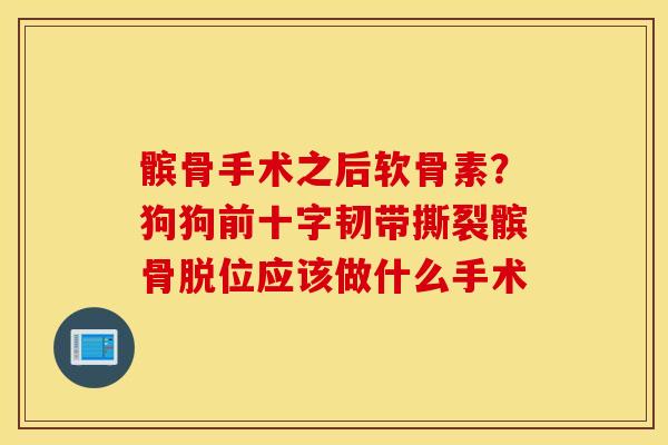 髌骨手术之后软骨素？狗狗前十字韧带撕裂髌骨脱位应该做什么手术