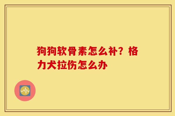 狗狗软骨素怎么补？格力犬拉伤怎么办