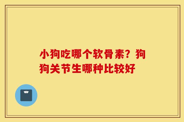 小狗吃哪个软骨素？狗狗关节生哪种比较好
