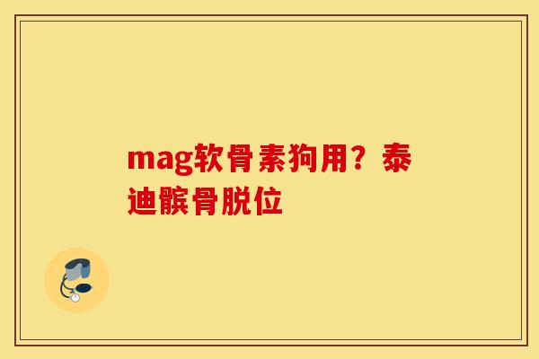 mag软骨素狗用？泰迪髌骨脱位